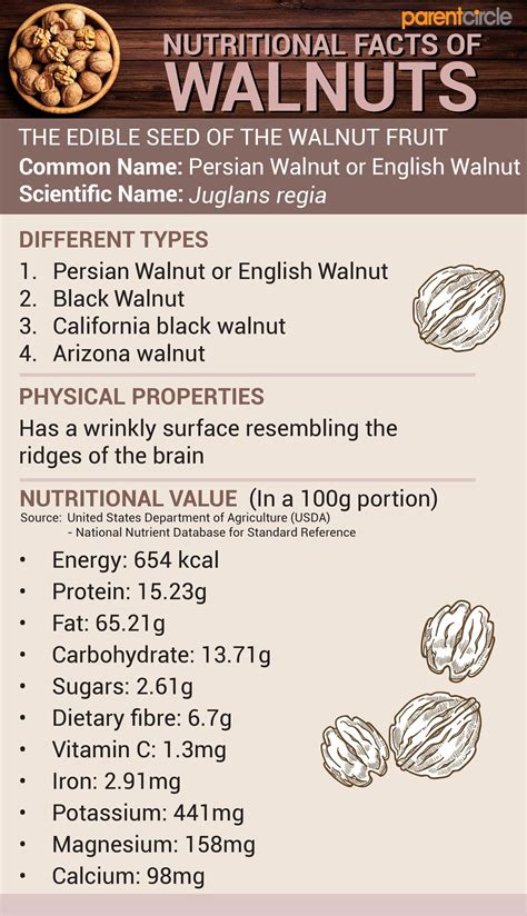 how many walnuts for daily omega 3